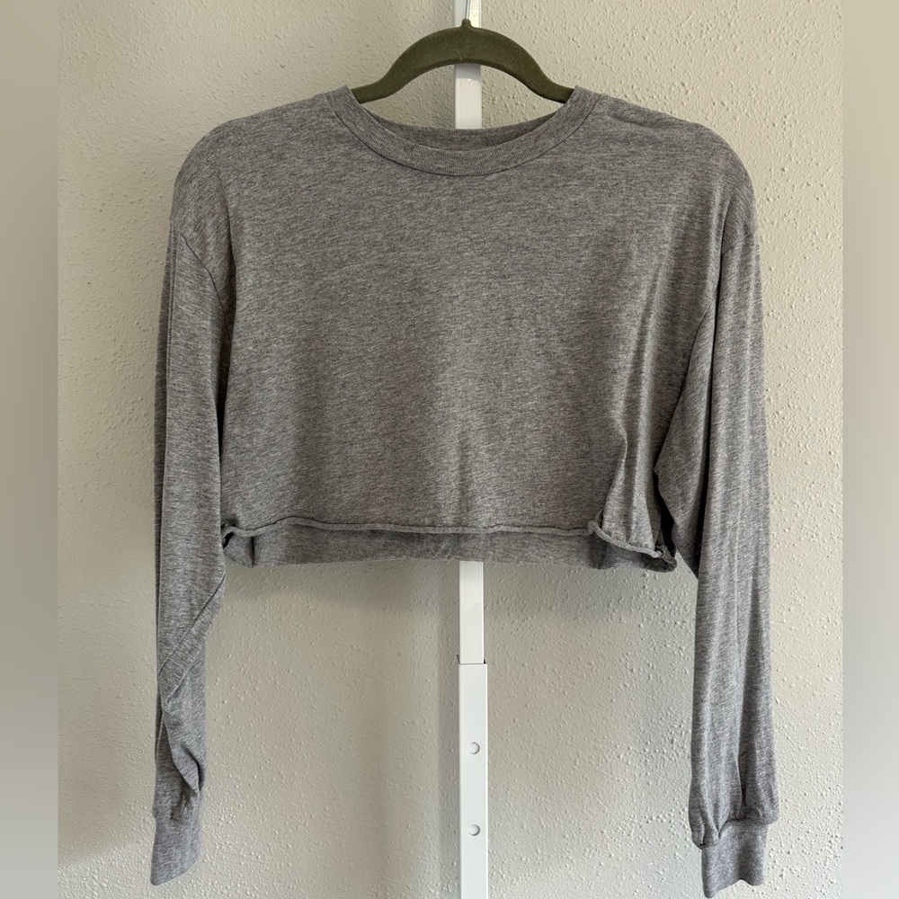 Aritzia Tna gray long sleeve crew neck crop top size xs